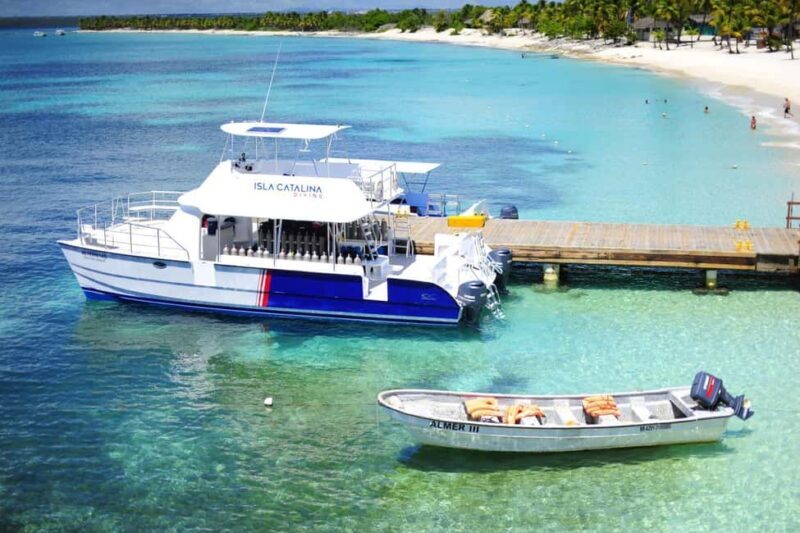 From miches: Isla Catalina Snorkeling Tour with Lunch - In-Depth: The Experience and Its Value