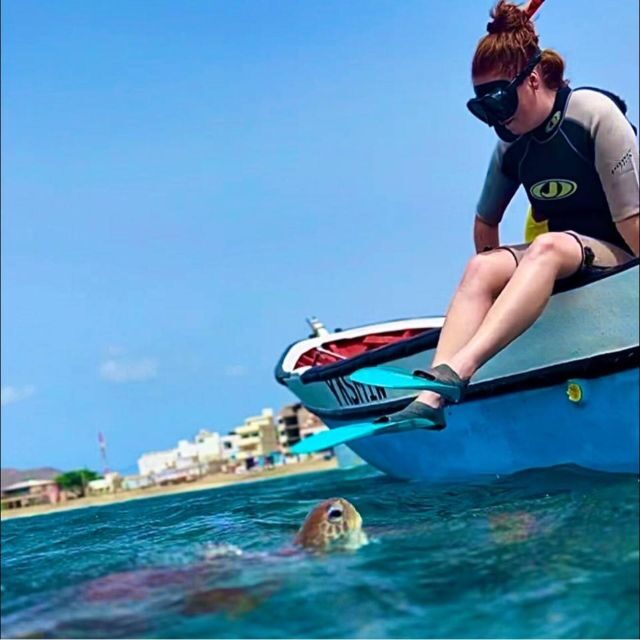 From Mindelo: Snorkel and Swim with Sea Turtles - Key Points