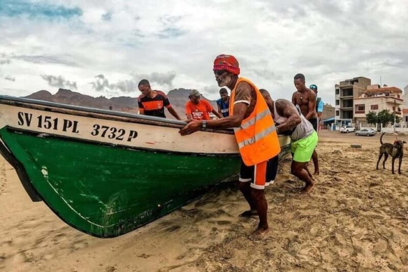 From Mindelo: Snorkel and Swim with Sea Turtles - What to Expect on the Tour