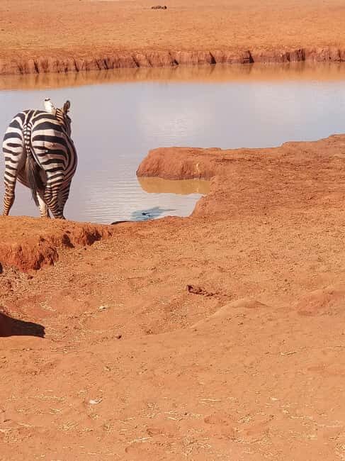 From Mombasa: 3-Day Tsavo East and Tsavo West Safari - FAQ