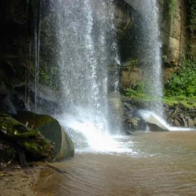 From mombasa: Shimba Hills National Reserve Day Safari - Final Thoughts