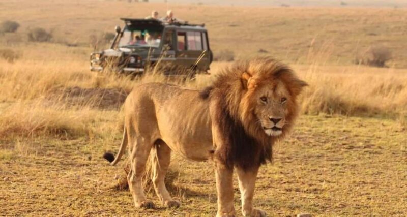 From Mombasa:3-Day Tsavo West National Park Safari-Ngulia - How About the Price?