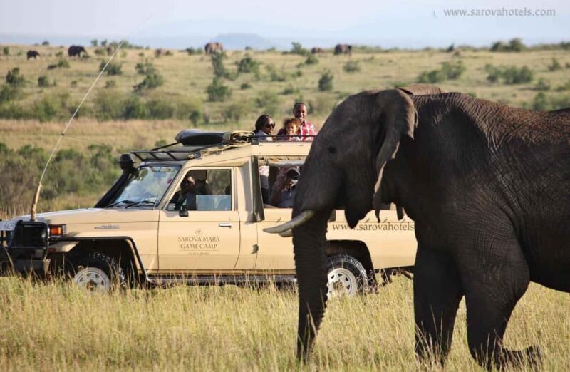 From Mombasa:3-Day Tsavo West National Park Safari-Ngulia - Who Should Consider This Safari?