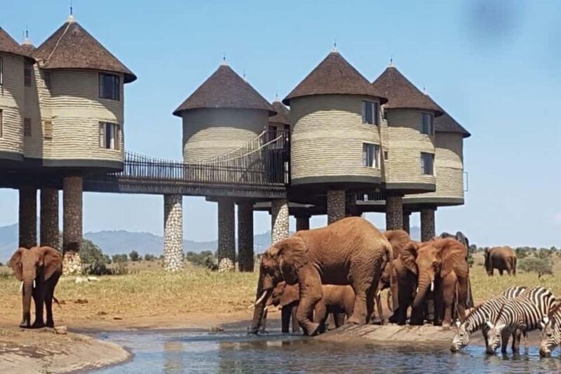 From Mombasa:5 Days Tsavo East,West and Saltlick Lodge safar - Key Points
