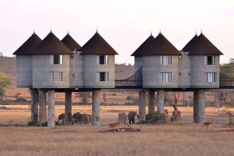From Mombasa:5 Days Tsavo East,West and Saltlick Lodge safar - What Could Be Better