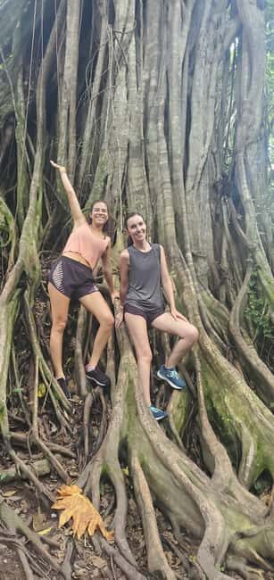 From Montego Bay: Blue Hole Waterfall Experience - Pricing and Value