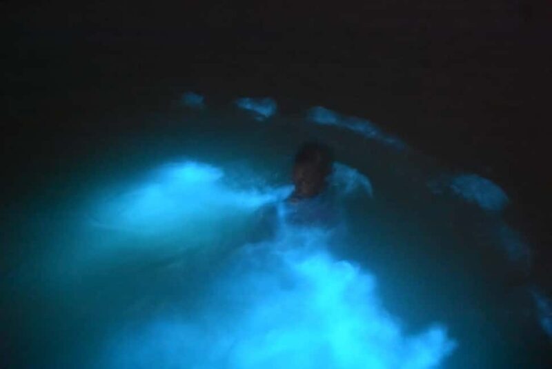 From Montego Bay: Luminous Lagoon Night Tour - Timing, Duration, and Group Dynamics