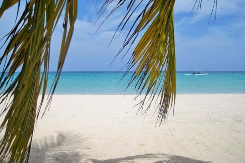 From Montego Bay: Negril Beach and Rick's Café Day Trip - What to Expect on This Day Trip
