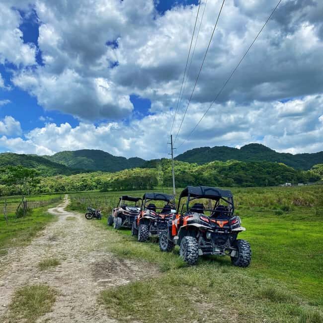 From Montego Bay/Negril: RastaSafari UTV Experience - Key Points