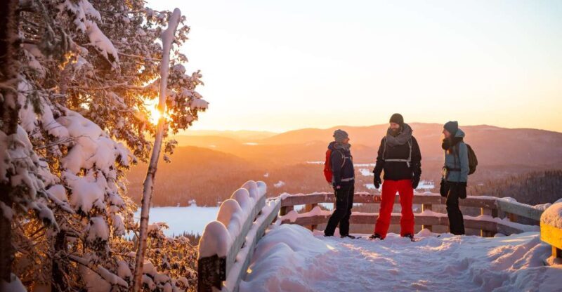 From Montreal: Mont-Tremblant National Park Hiking Day Trip - Key Points