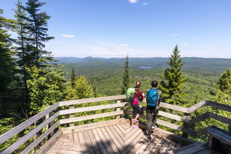 From Montreal: Mont-Tremblant National Park Hiking Day Trip - A Deep Dive into the Experience
