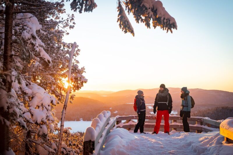 From Montreal: Mont-Tremblant National Park Hiking Day Trip - Final Thoughts: Who Is This Tour Best For?