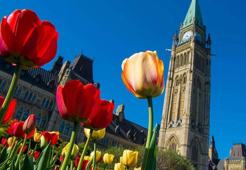 From Montreal: Private Ottawa Full Day Tour - Introduction