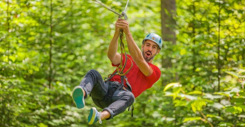 From Montreal: Treetop Trek, Ziplines + beach or waterfall. - The Treescape at Arbraska Rawdon