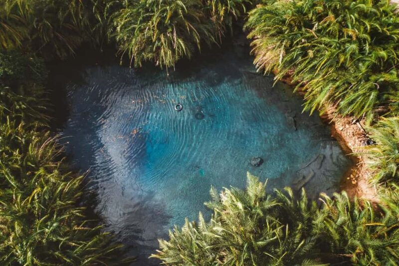 From Moshi: Chemka Hot Springs Day Trip - The Sum Up: A Refreshing Slice of Tanzania’s Natural Beauty