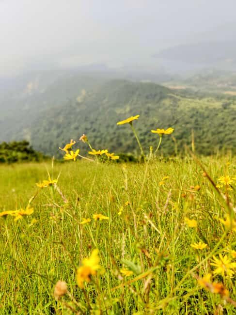 From Mumbai: Sondai Fort Guided Trek with Meals & Transfers - Introduction: Why This Trek Stands Out