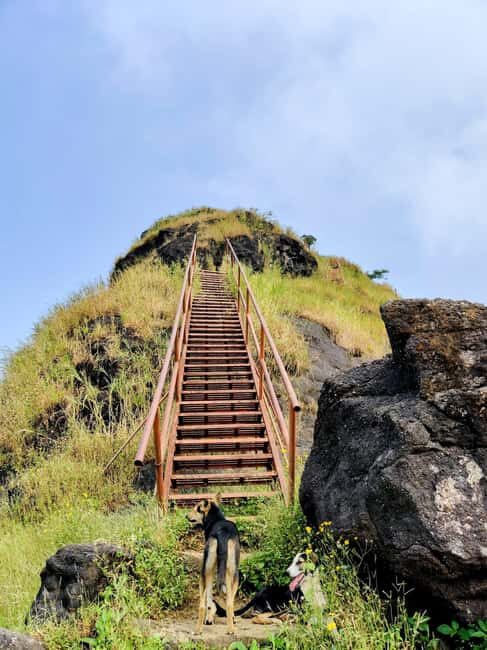 From Mumbai: Sondai Fort Guided Trek with Meals & Transfers - The Sum Up: Is This Tour Right for You?