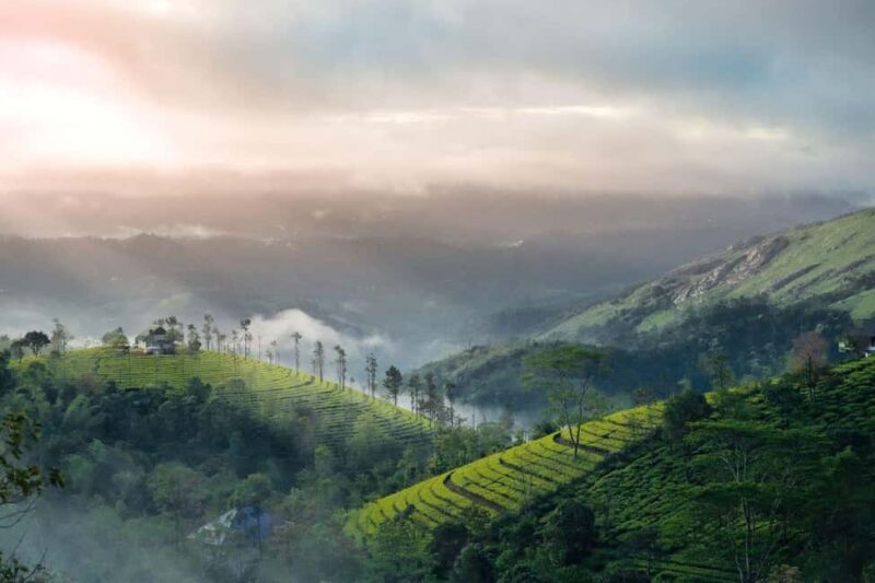 From Munnar: Letchmi Hills Trek Nature Walk Half Day Tour - A Deep Dive into the Letchmi Hills Trek