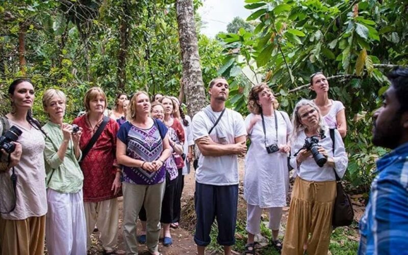From Munnar: Tea Factory, Plantation, and National Park Tour - Introduction
