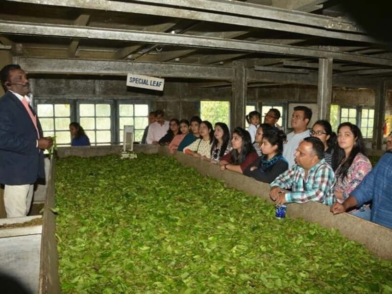 From Munnar: Tea Factory, Plantation, and National Park Tour - Why This Tour Offers Good Value
