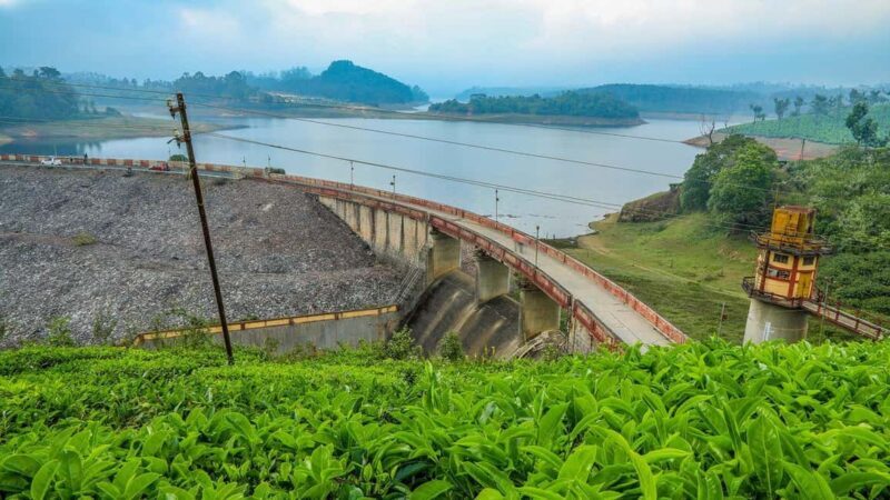 From Munnar: Tea Factory, Plantation, and National Park Tour - Who Will Love This Tour?
