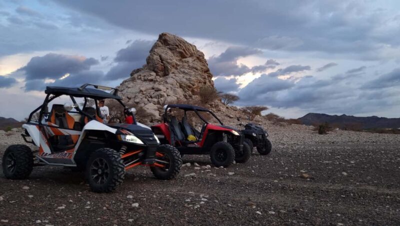 From Muscat 1 Hour: Self Drive ATV Adventure in Wadi Al Rak - Exploring Wadi Al Rak: What You Can Expect