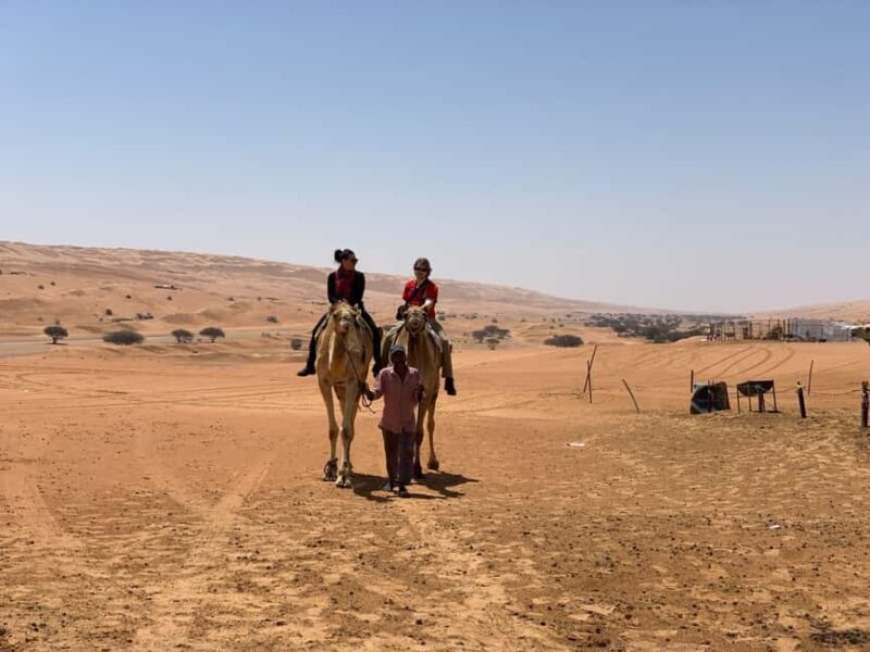 From Muscat: Desert and Wadi Bani Khalid Oasis Full-Day Tour - Key Points