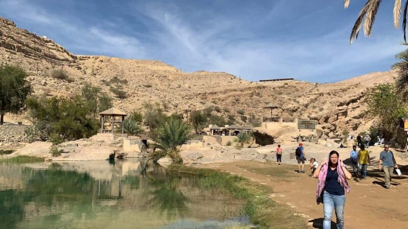 From Muscat: Desert and Wadi Bani Khalid Oasis Full-Day Tour - The Sum Up