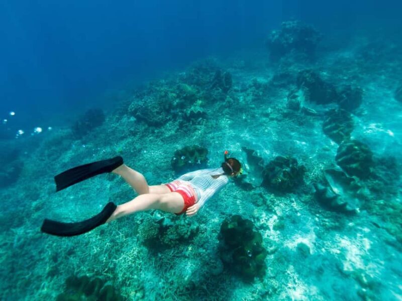From Muscat: Snorkeling Trip (Dimaniyat Island trip) - Key Points