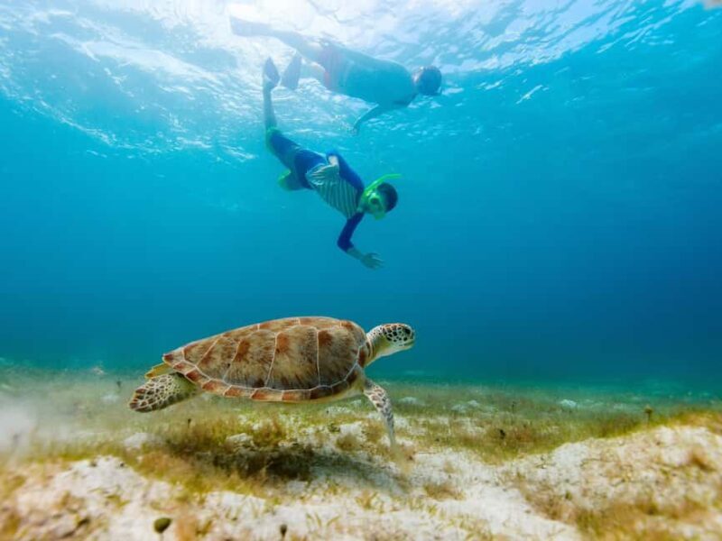 From Muscat: Snorkeling Trip (Dimaniyat Island trip) - A Closer Look at the Experience