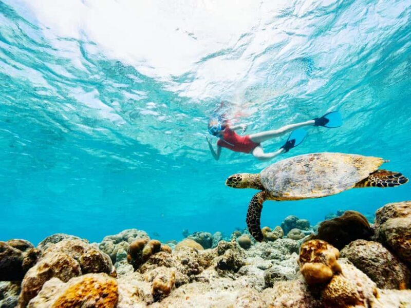From Muscat: Snorkeling Trip (Dimaniyat Island trip) - FAQ