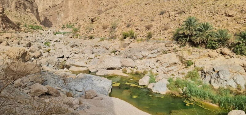 From Muscat: Wadi Al Arbieen Adventure, Sinkhole, Fins Beach - Key Points