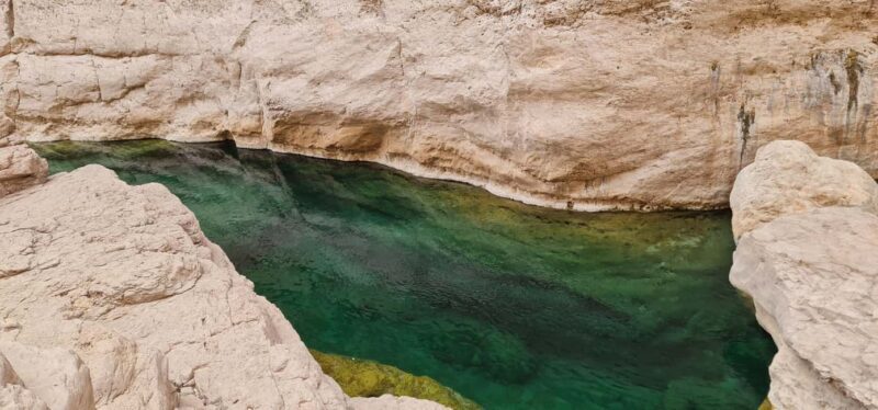From Muscat: Wadi Al Arbieen Adventure, Sinkhole, Fins Beach - What Travelers Say