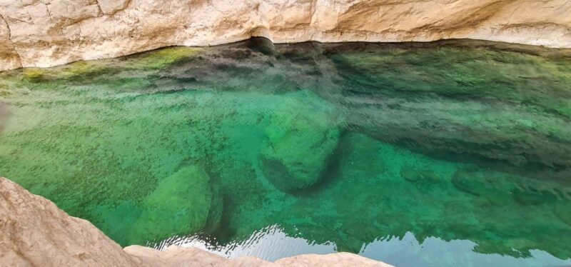 From Muscat: Wadi Al Arbieen Adventure, Sinkhole, Fins Beach - The Sum Up