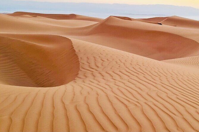 From Muscat: Wadi Hawar and Wahiba Sands Desert Tour - Who Will Love This Tour?