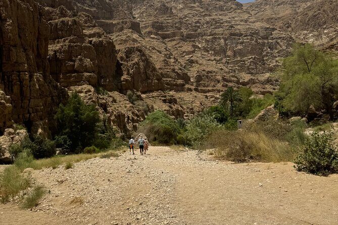 From Muscat Wadi Shab and Bimmah Sinkhole Tour - Frequently Asked Questions