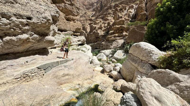 From Muscat: Wadi Shab & Bimmah Sinkhole Full-Day Tour - Practical Details & Value