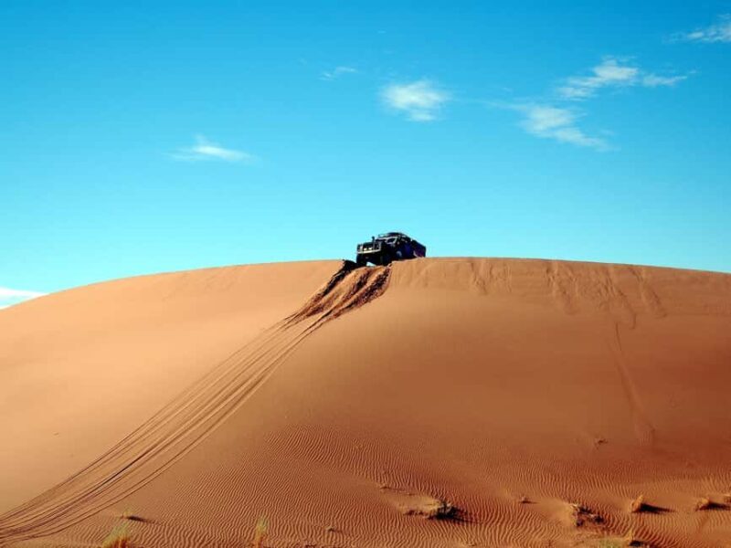 From Muscat:Wahiba Sands & WadiBani Khalid Desert Experience - What to Expect on Your Desert and Wadi Tour