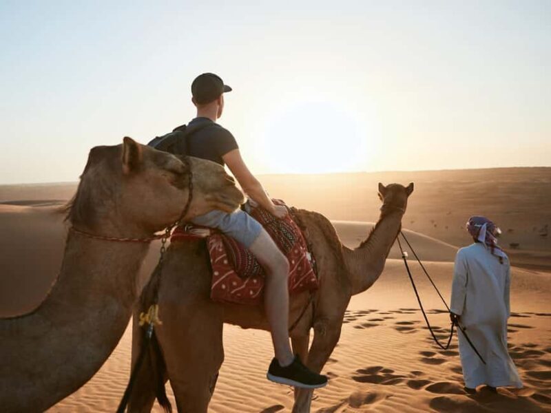 From Muscat:Wahiba Sands & WadiBani Khalid Desert Experience - Analyzing the Value