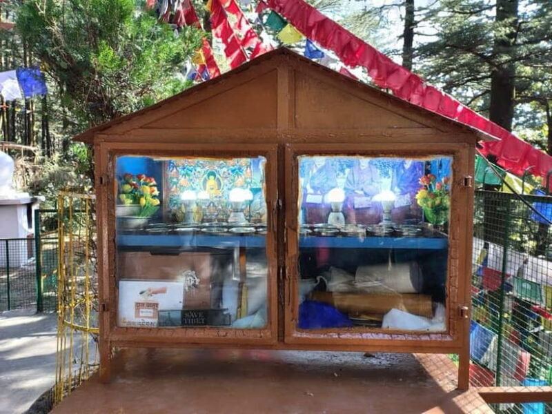 From Naddi: Guided Himalayan Nomad Culture & Nature Walk - Walking Through Forests and Small Settlements