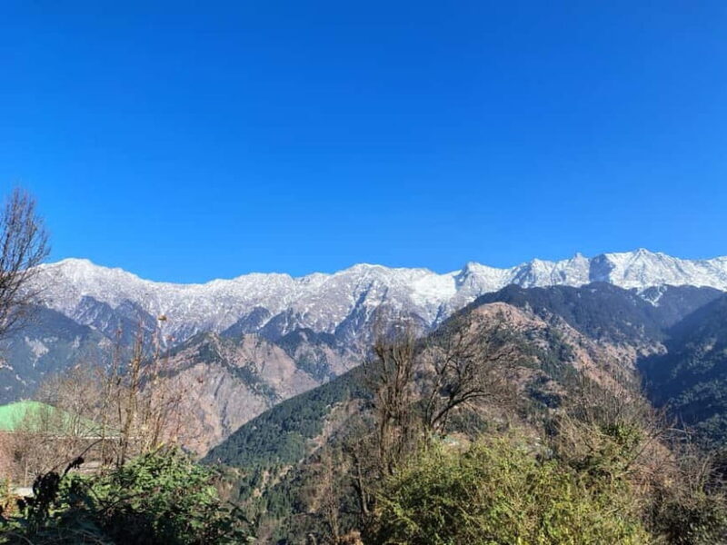 From Naddi: Guided Himalayan Nomad Culture & Nature Walk - Analyzing Value and Experience