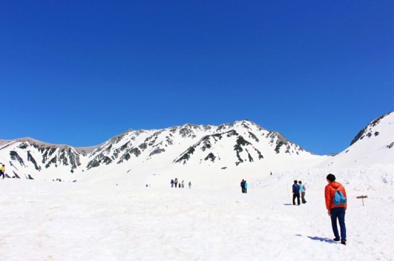 From Nagano: Tateyama-Kurobe Alpine Route - Pricing and Value: What You Get for $253
