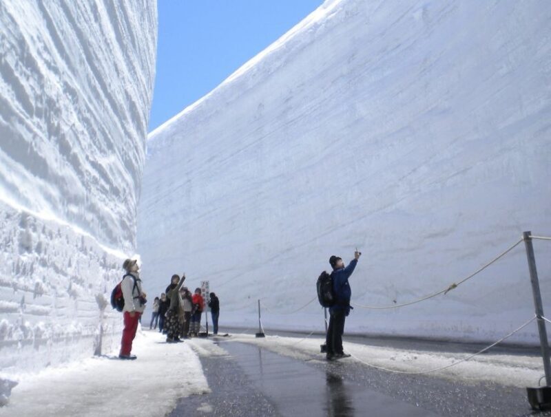 From Nagano: Tateyama-Kurobe Alpine Route - Authenticity and Visitor Feedback: What People Are Saying
