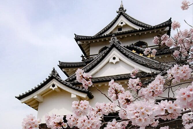 From Nagoya: Castles and Canals in Hikone and Omi Hachiman - Key Points