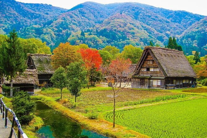 From Nagoya: Castles and Canals in Hikone and Omi Hachiman - Yume Kyobashi Castle Road: Food and Shopping