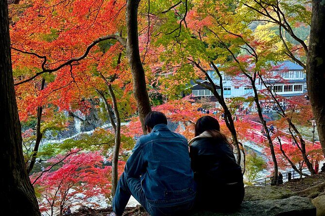 From Nagoya: Discover Aichi Korankei, Miso, & Inari Shrine - An Overview of the Tour Experience