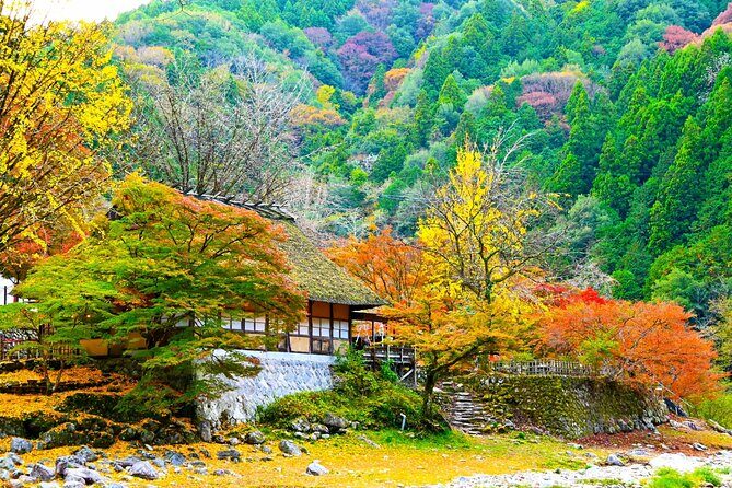 From Nagoya: Discover Aichi Korankei, Miso, & Inari Shrine - Korankei Gorge: Japan’s Autumn Foliage Jewel