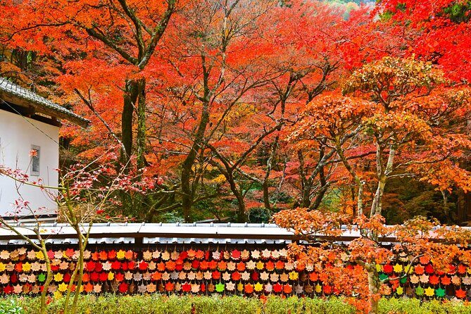 From Nagoya: Discover Aichi Korankei, Miso, & Inari Shrine - Practical Aspects and Value