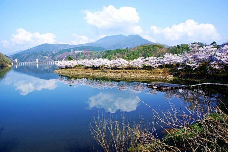 From Nagoya: Enakyo, Magome-juku & Tsumago-juku 1D Bus Tour - An In-Depth Look at the Tour Experience