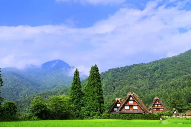From Nagoya: Gujo, Hida Takayama, and Shirakawa-go Day Tour - Introduction: What You Can Expect From This Tour